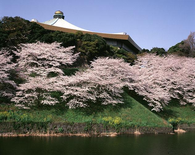 Nippon Budōkan, Tokio, JJOO 2020