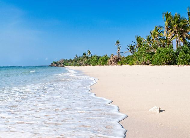 Msambweni, costa Índico, Kenia © George Clerk 176251/ Getty Images