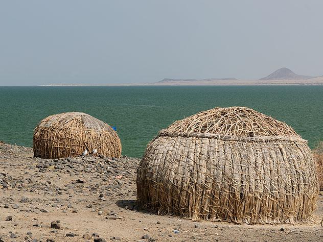 Experiencia salvaje en África: mar de Jade en Kenia