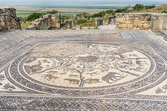 Afueras de Mequínez, Marruecos: Volúbilis