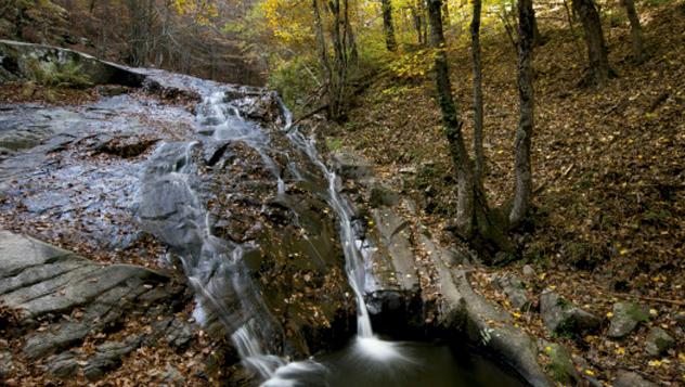 Parque Natural del Montseny