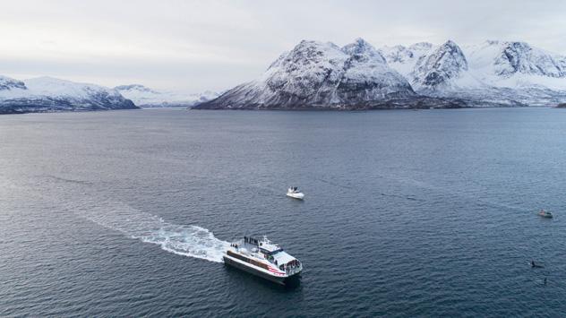 Crucero, Noruega © andrei Andritcu / Shutterstock