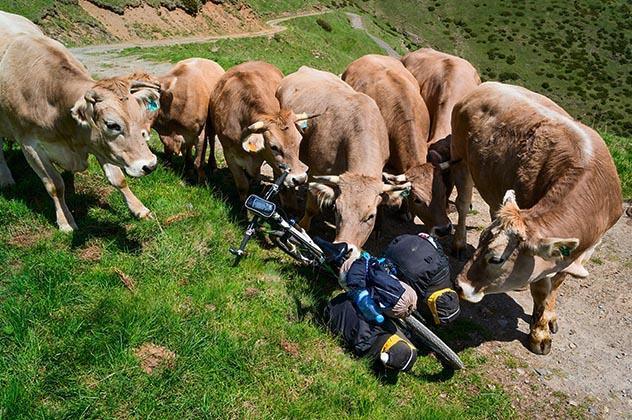 Ciclismo de montaña en la Transpirenaica en buena compañía© svsumin / Shutterstock