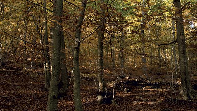 Santa Fe del Montseny, Parque Natural del Montseny, Barcelona, Cataluña, España