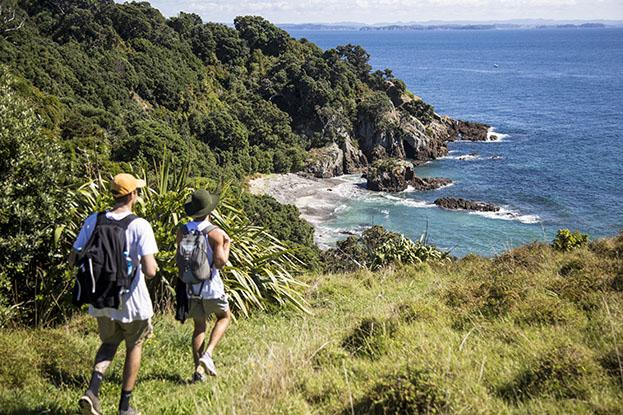 isla Tiritiri Matangi