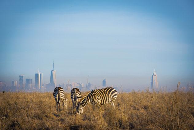 El Parque Nacional de Nairobi empieza donde acaba la ciudad. © drewcarr85/Shutterstock