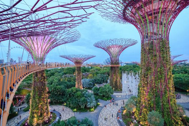 El místico Jardines de la Bahía es uno de los puntos de interés de Singapur ideales para visitar en soledad © FuuTaMin / Shutterstock