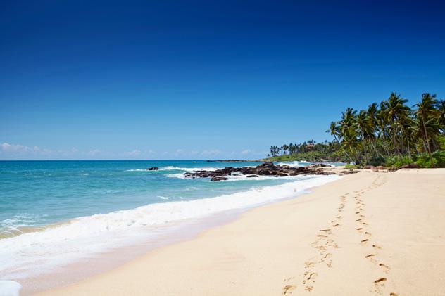 Playa de Goyambokka, Sri Lanka © Matt Munro / Lonely Planet