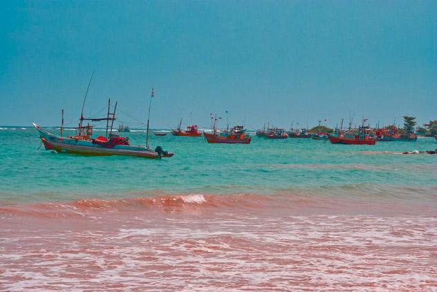 Barcos de pesca en Weligama, Sri Lanka © Navaka Arachchige / LonelyPlanet