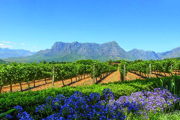 Cape Winelands, Sudáfrica, destino calidad-precio Top 8 Best in Travel 2020