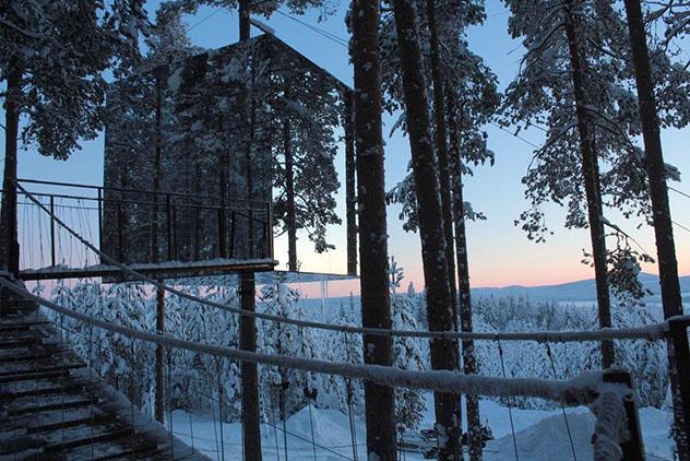 Hotel europeo: Tree Hotel, Harads, Suecia