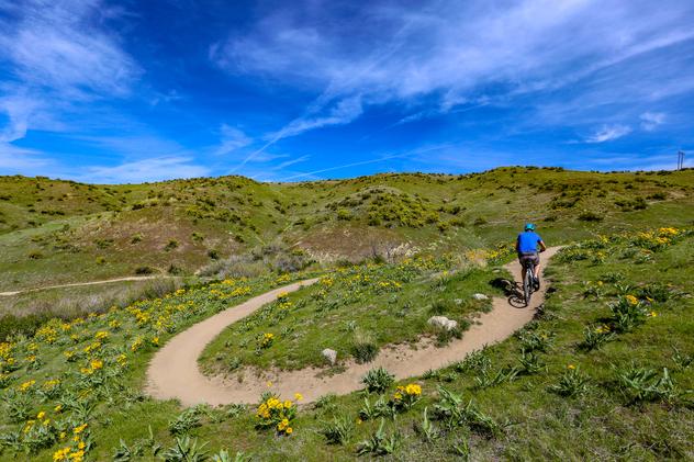 Ciclista por Boise. © Shutterstock / CSNafzger