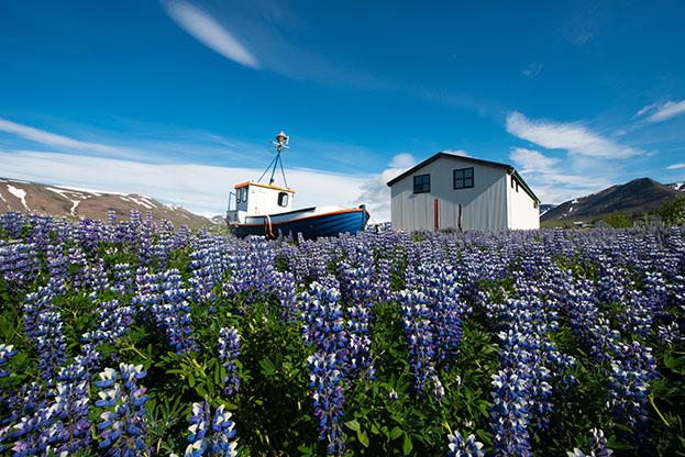 Pingeyri, Westfjords