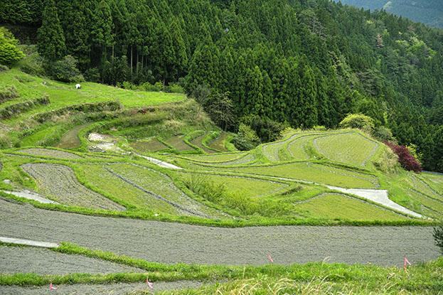 Kamikatsu, Shikoku